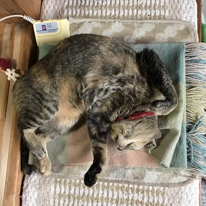 722ba191 b3e6 45f9 b3fb 5b67ac9f8e8f 1600846058029