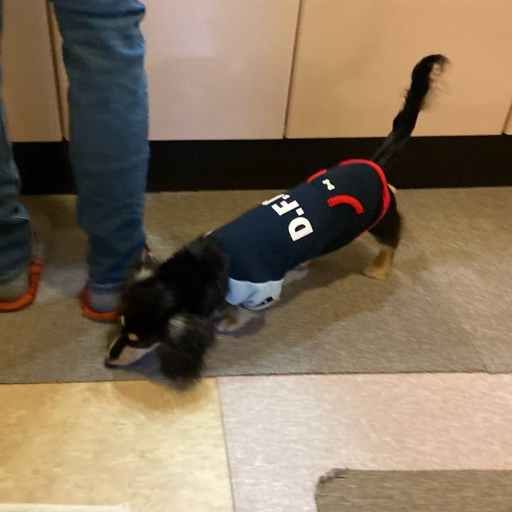 722bc53b 33df 4795 9216 a5862f1a232e 1675122056634