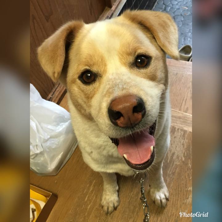 722bc7eb 48bb 42a4 8f1d 3529d6fd91ee 1527029038980