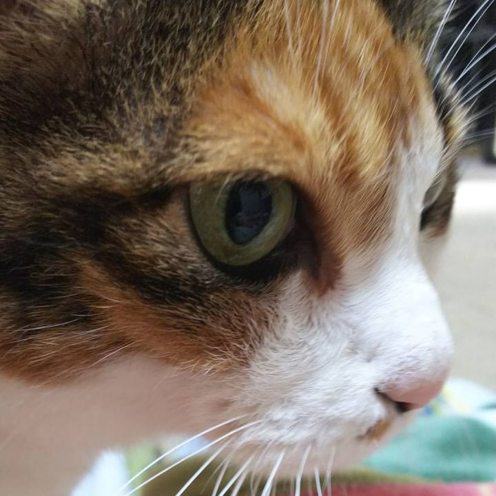 722be3d7 78bb 4082 83aa 6dba423784c4 1539996770064