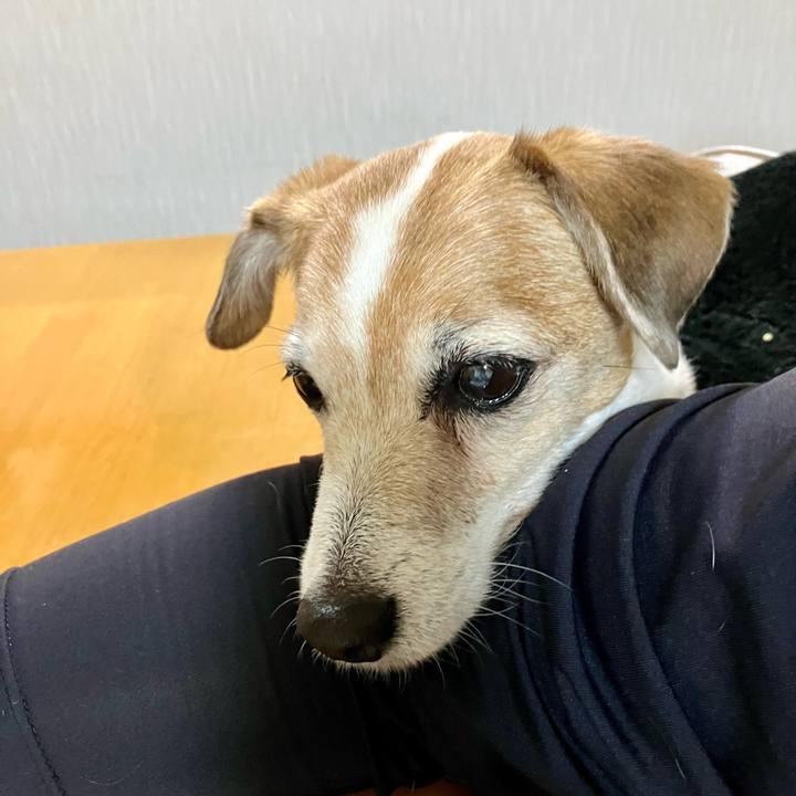 722be4a1 09f6 485d b106 0b5c36124424 1712238551769