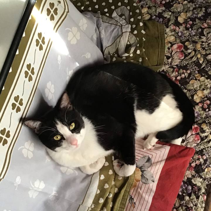 722c0f12 c609 4e12 b661 23192a0513d7 1680598685116