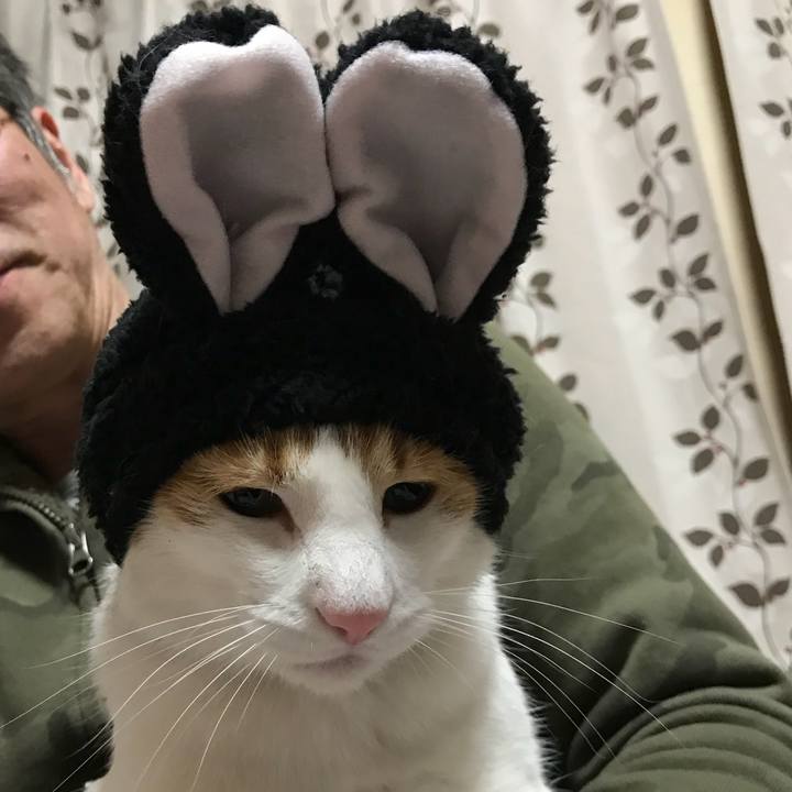 722c14da d3e0 497a 86b5 bafed8ad667e 1518606359342