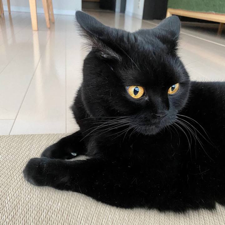 722c1f3e ca1c 49db 921c 2a55d64ae4a9 1599381235181