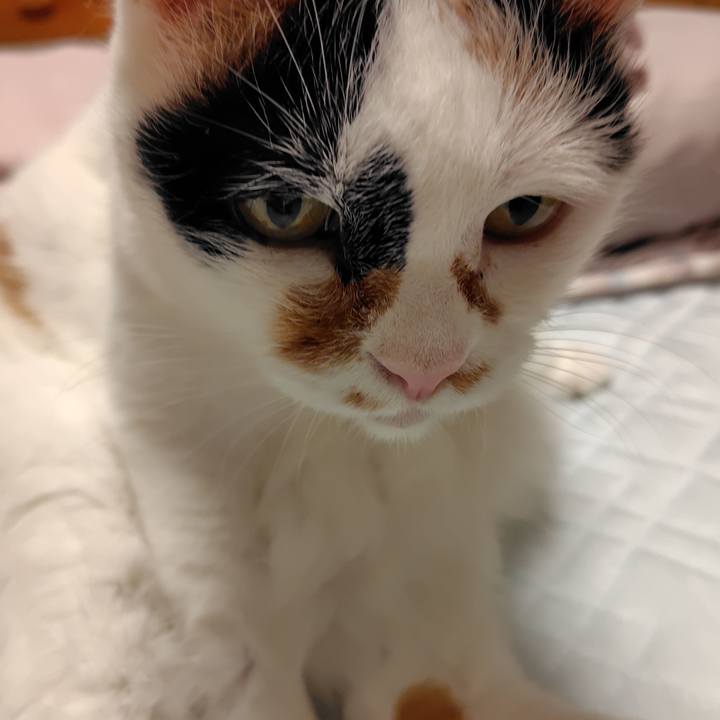 722c4661 c791 4fb0 887f 40b47819a78d 1754662191090