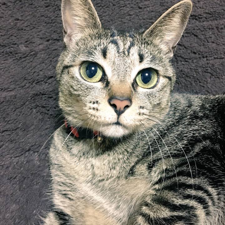 722c5297 4d52 4548 8f6a 415b9bea5b3c 1522541927098