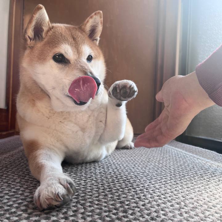 722ca260 dcfb 4939 ae8c 4571c9cc82a2 1707908591209