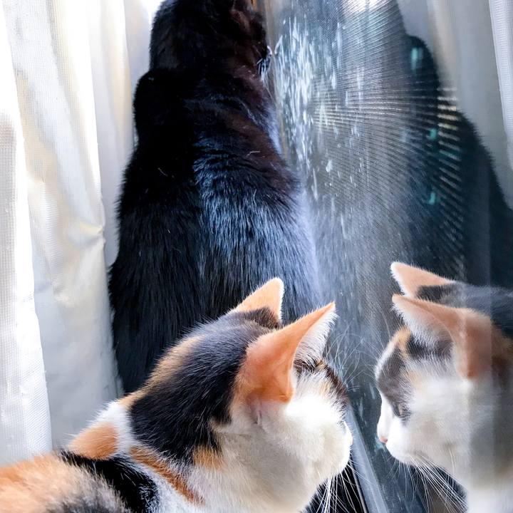 722cf1e9 a5be 4a4d a71f 929da7d8f626 1509839458578