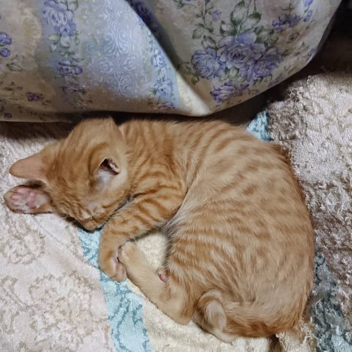 722cf62d 0392 43a7 8fde 8dbf0990d7d4 1632916489373