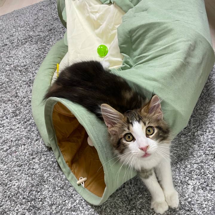 722d5e21 b606 45a5 aac7 1d8ee88312cc 1632478063666