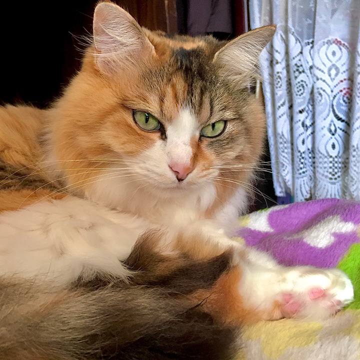 722d8cba 70ff 440e a4d6 7f4ee3288187 1585628603858