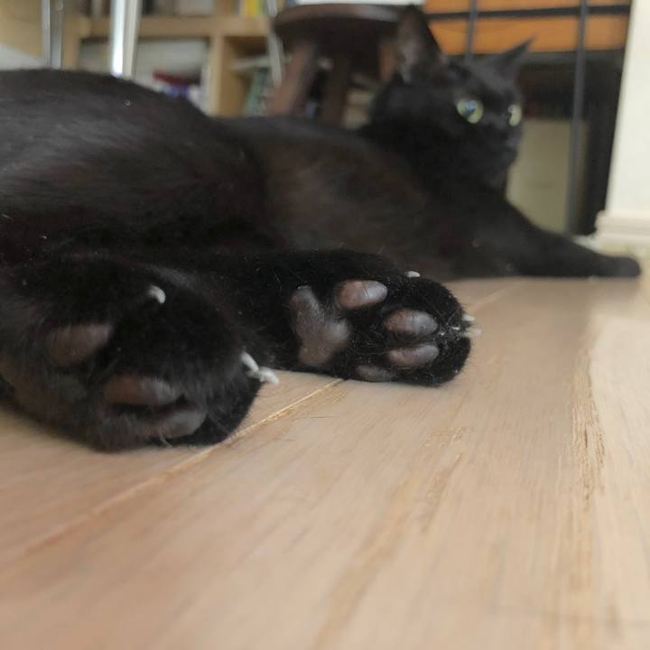 722db9c7 75d6 46a8 870e 2db5c4a568df 1561805446423