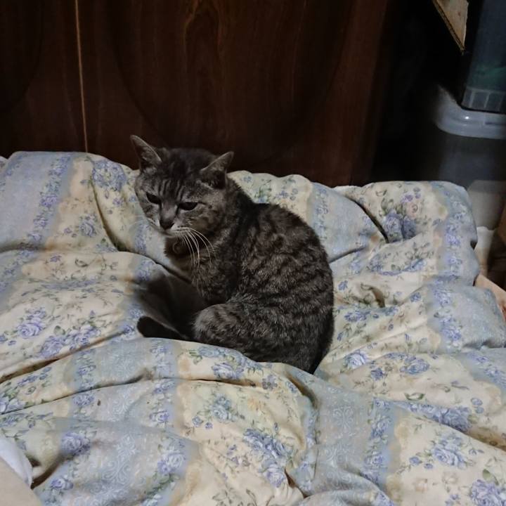 722dcd3d 4e34 4527 a1a5 75beef1a0d8b 1590667193850