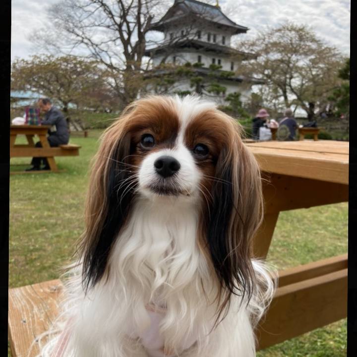 722deab9 e544 485f 8f86 a5c35881e873 1682754722501