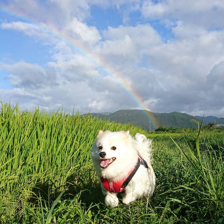 722dfc5c 597a 4b3f a7f0 94a01a355c7b 1760287188824