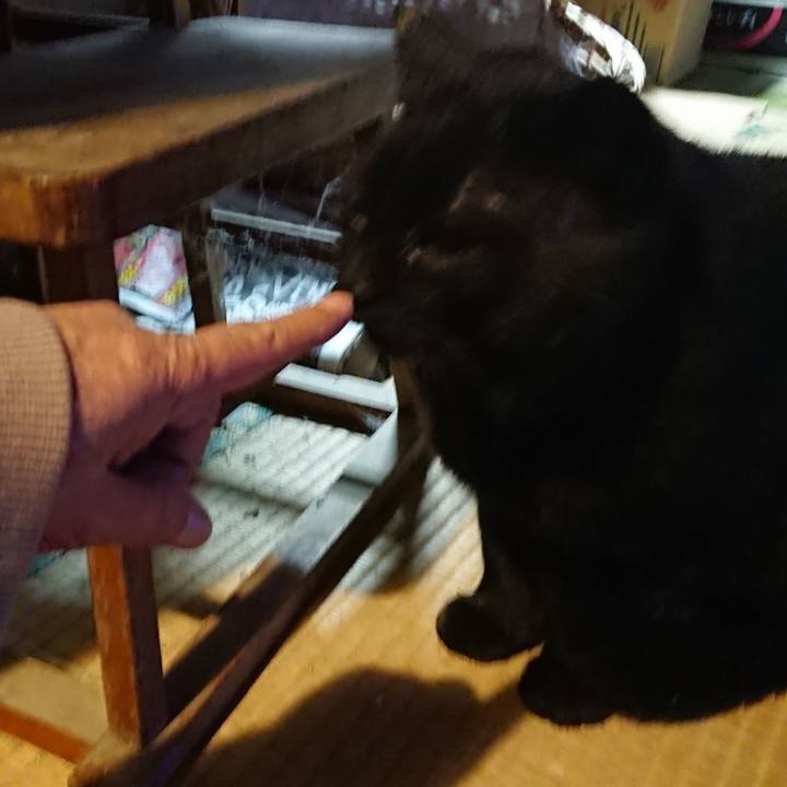 722e0d30 8869 48b8 92fa 2428c8e60d22 1616619927759