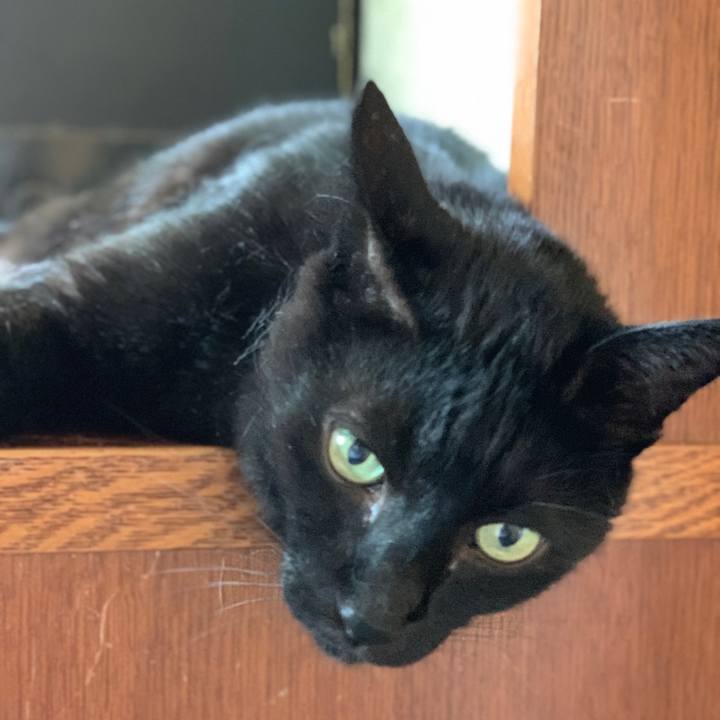 722e3750 0578 407c 87a3 59501d9cf88c 1598576957687