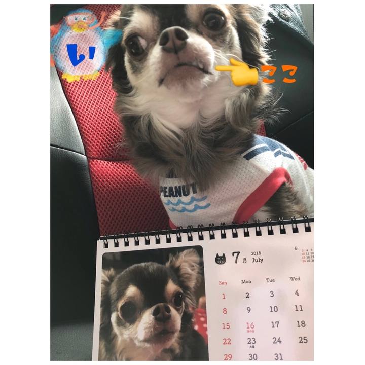 722e67cd 4b67 4e4f 8709 d4ebc2f16237 1530427113528