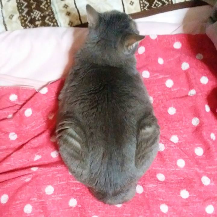 722e8092 be36 4989 b16b 929bff87c7e6 1586725284405