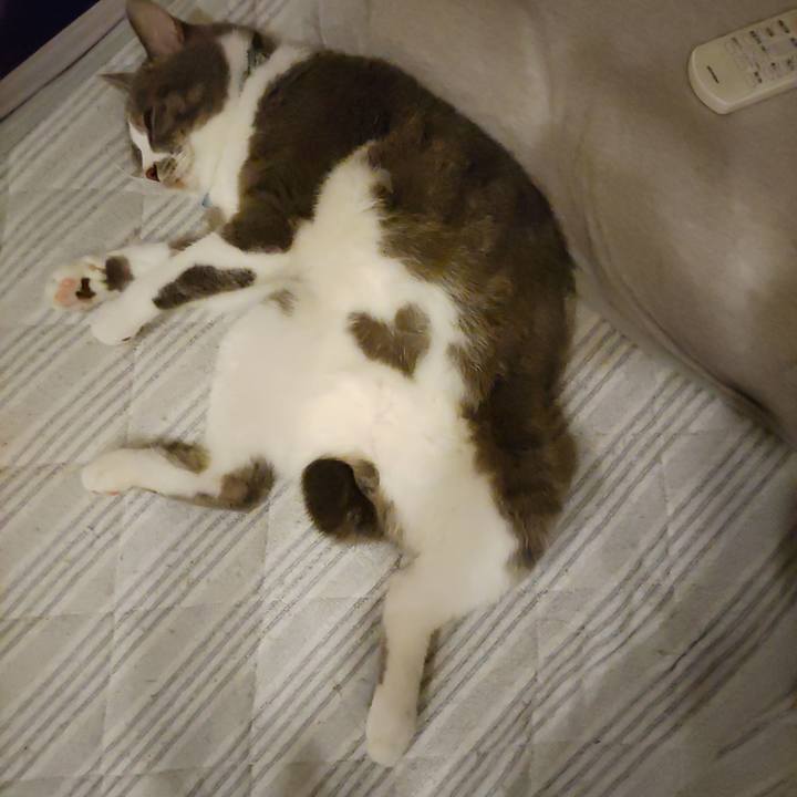 722e8e6c eb6f 4d96 bc59 3137241dd163 1720525669097