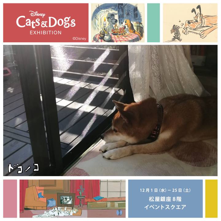 722e9a0e 67d9 4772 a16f f4f01be7d7f9 1638691430645