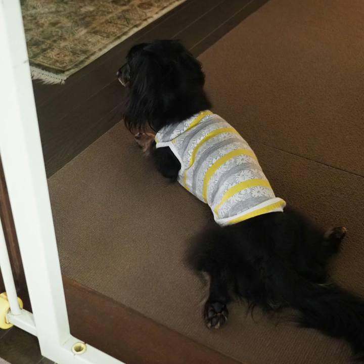 722eb2a5 bcb2 40a0 9ed7 a6fe093c9cb6 1565660989172