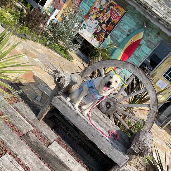 722ecbc4 0fb2 4a17 86ad 765b7ee48b23 1633408862120