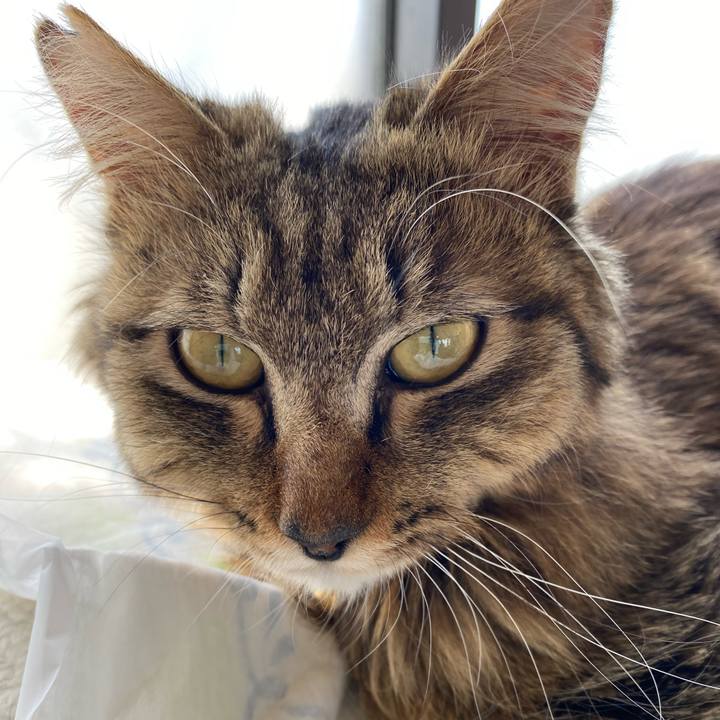 722efcb5 58c4 4944 b8b9 f7fed9af07f2 1651658468075