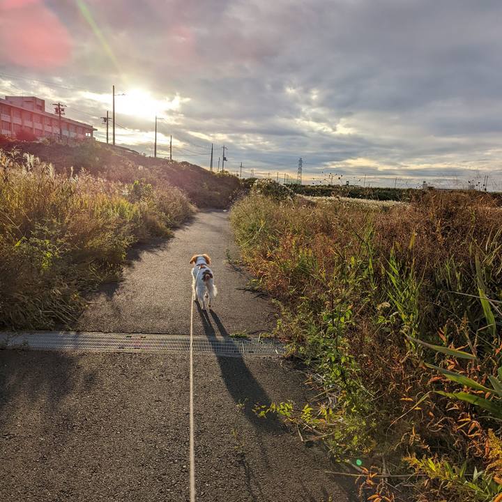 722f2d18 21af 4c71 9148 4e16a80e82e6 1635679034022