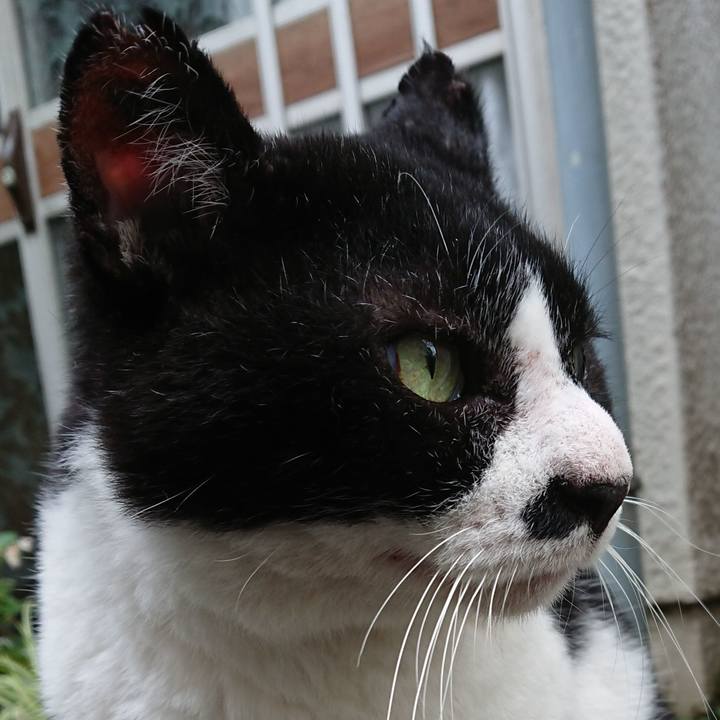 722f5387 9b8f 4fba 9a55 55d18d7de4e4 1600154747513