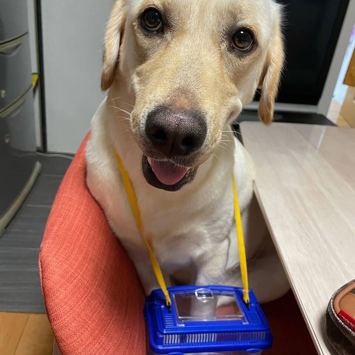 722f7ea4 8d4c 4302 ba66 b36afb4df939 1658065553281