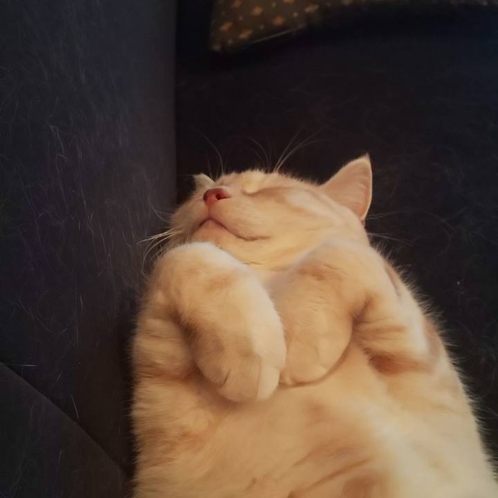 722fad38 08c7 423a 8fcb accaeff48ddc 1538122381628