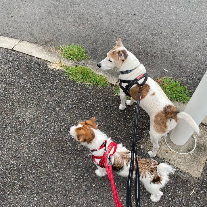 722fb618 876a 41a2 8fbf a843d8ccdc37 1632093580770