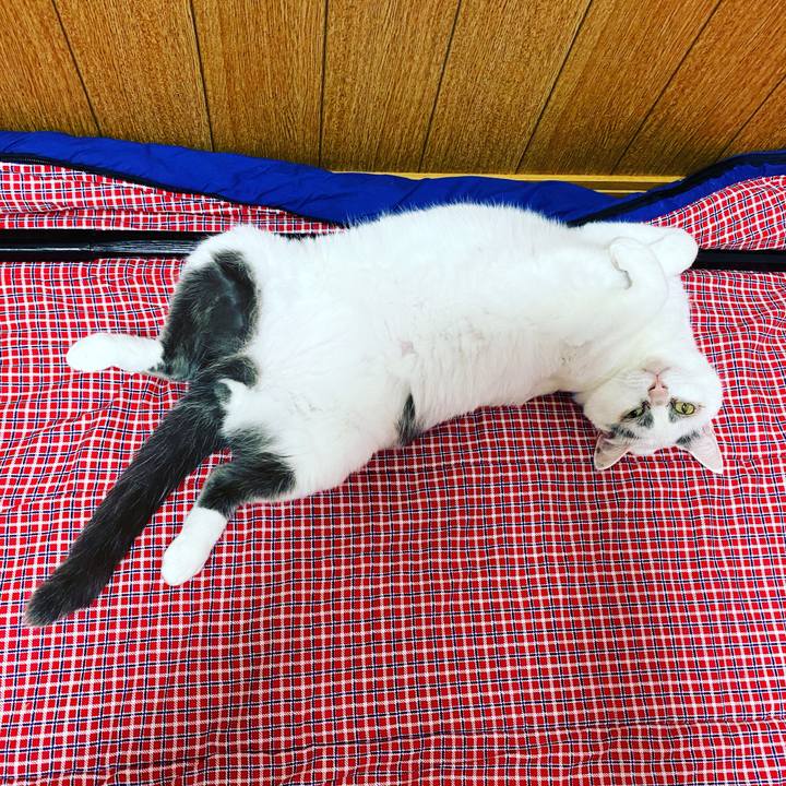 722fb79e 1724 4228 ac58 6f835ea12fec 1629922464887