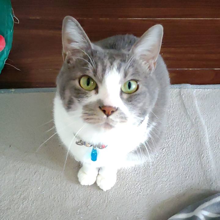 722fbdda 5a65 4970 8f95 8c045aadf9a7 1708139550885