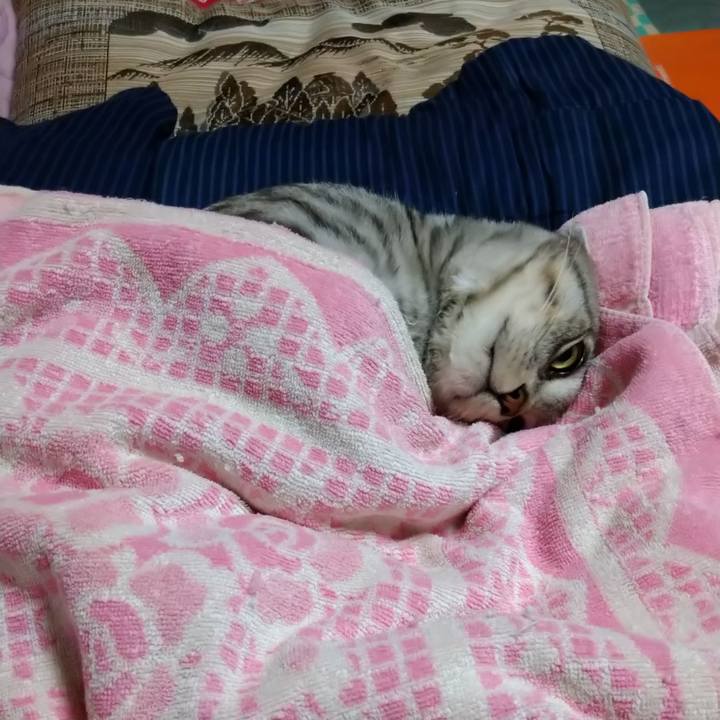 722fd139 d998 478a 9626 cde71a4d1817 1602857965895