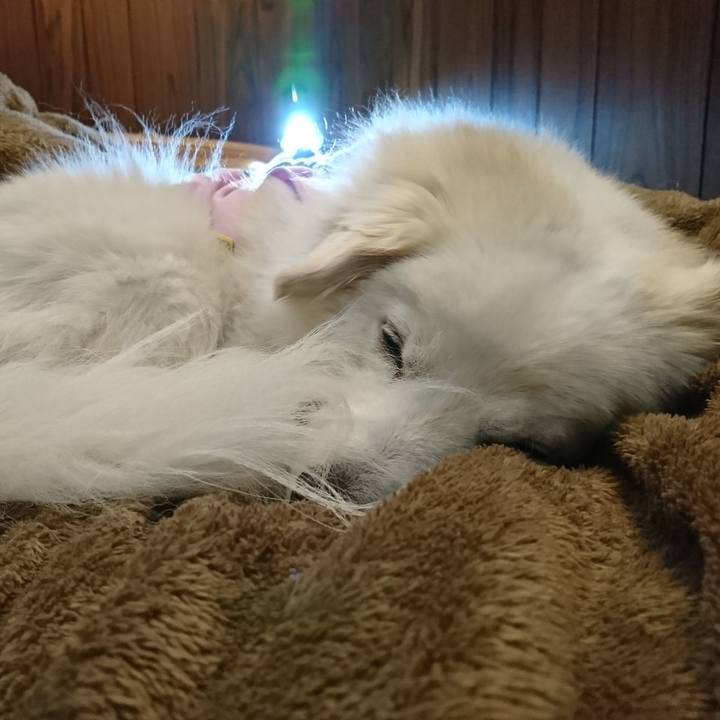 722fe62f 18dd 40db 82d4 00715e45d50b 1548361094610