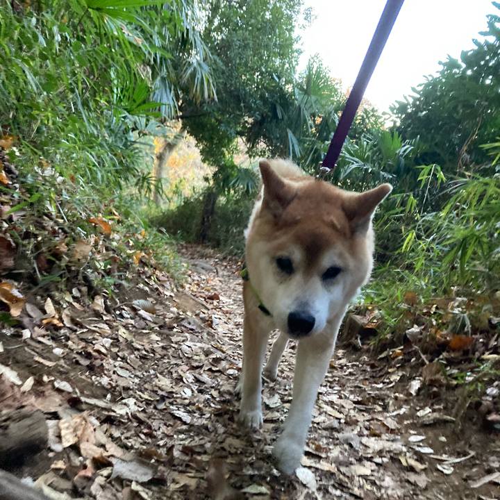 722fe7e8 1641 49f8 9d1d df83c5bffcc3 1609307697513