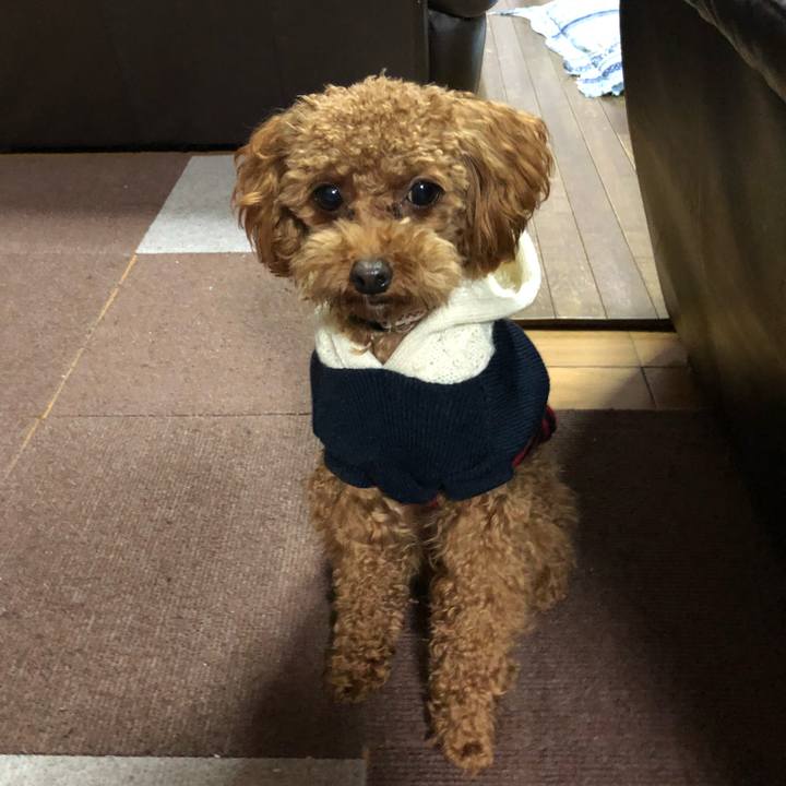 722ff214 e39b 413c 846b cc9de2fa4949 1512080823581