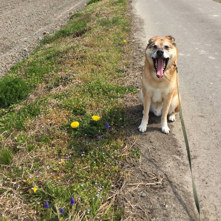 723020cf b310 4850 abdb f4e4fa32c1e8 1553836808062