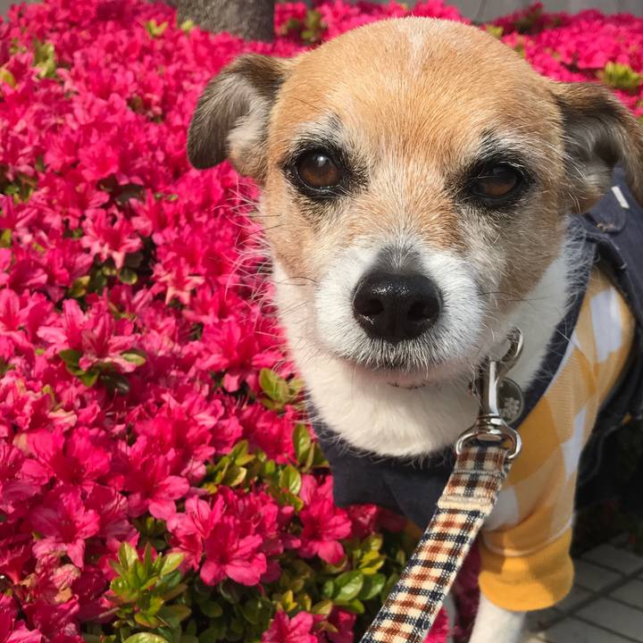 7230409e f036 418d 827a acf867d0f0f6 1586937687755