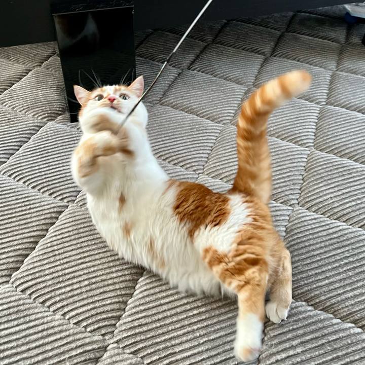 72304fee af8b 4862 96bb b50333a76ea9 1755581554704