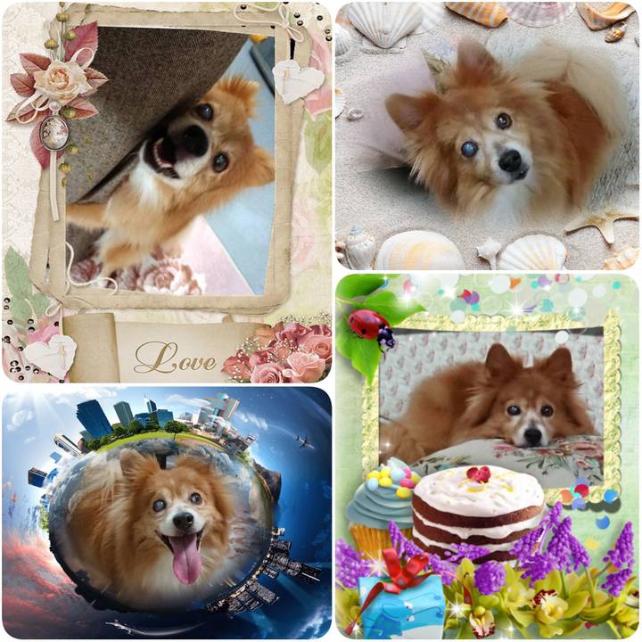 723065ec 4a04 49ed 8072 80503c1fa5d7 1590229566884