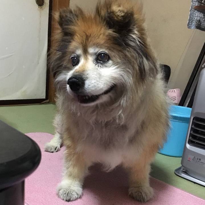 72308bc1 d59a 4760 8faf fa8e19809df1 1556710597541