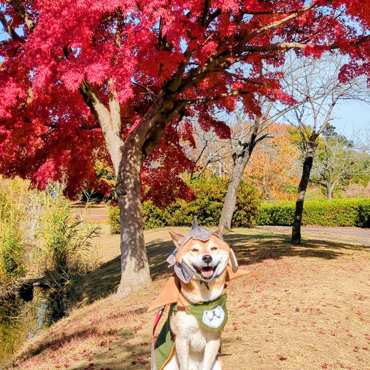 72308ceb 99fe 4411 a734 14fd9707b85a 1763978439174