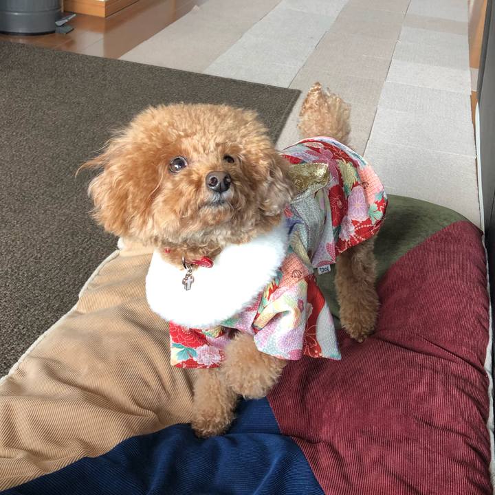 72308e09 3acb 4451 a1a8 469f30f848e3 1578222285192