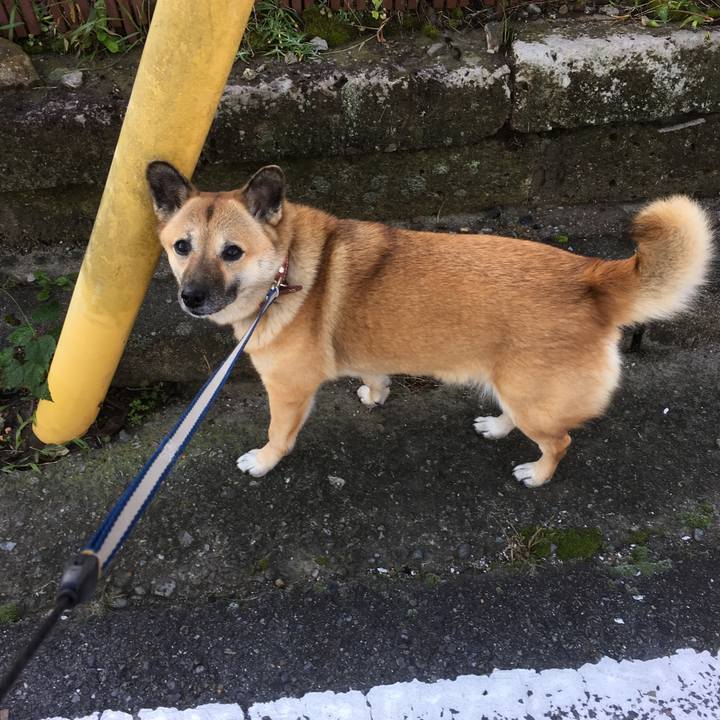 7230afd1 1a44 4059 a7b3 363c31dca5ad 1509580535232