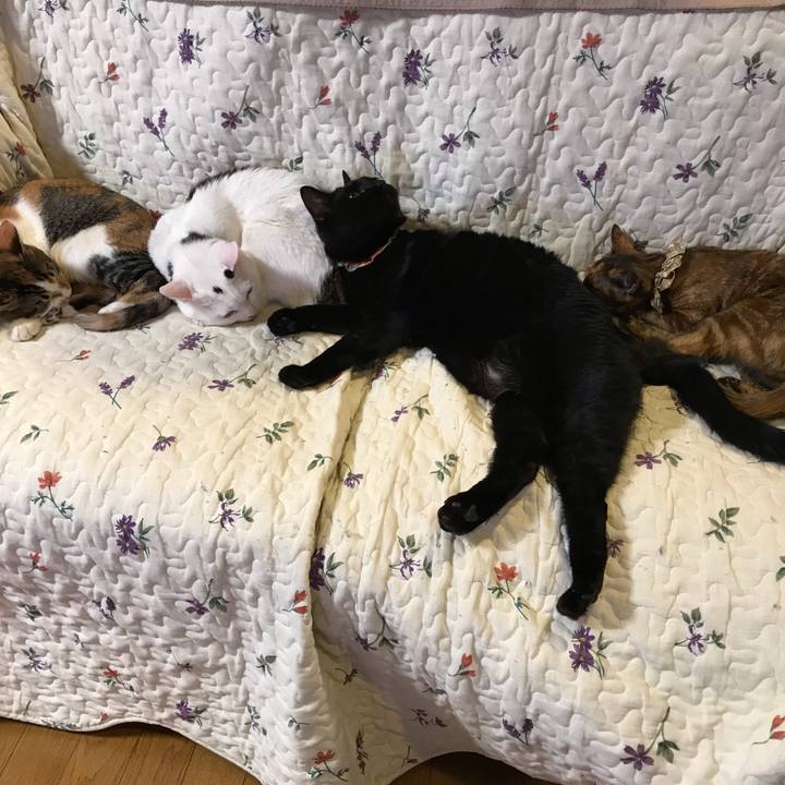 7230c85a 2e0e 42a5 8997 60c05f89af3c 1608457248293