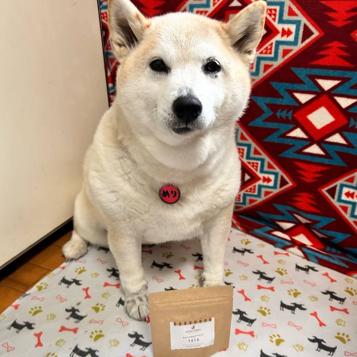 72310a23 cbd9 4b2c 90db e0f1b2801f1f 1739335109715