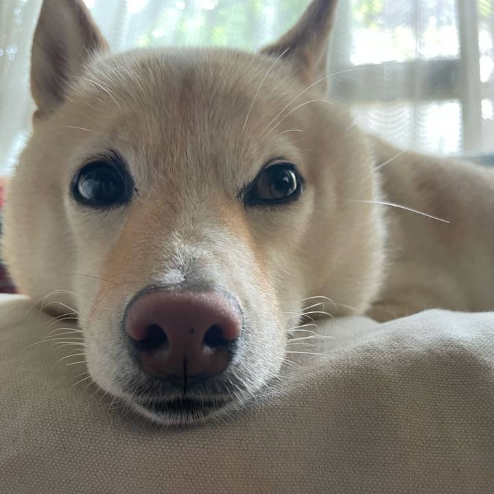 72310cfd c520 453c a7c6 4ccb4b6e9411 1662259400160